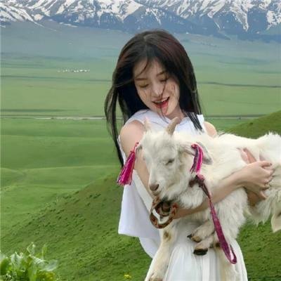 再见爱人第五季海报