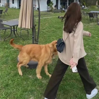 武庚纪第三季海报